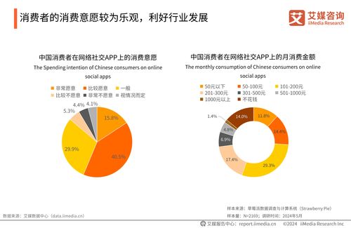 2024-2025年中國婚戀社交服務(wù)市場研究報告